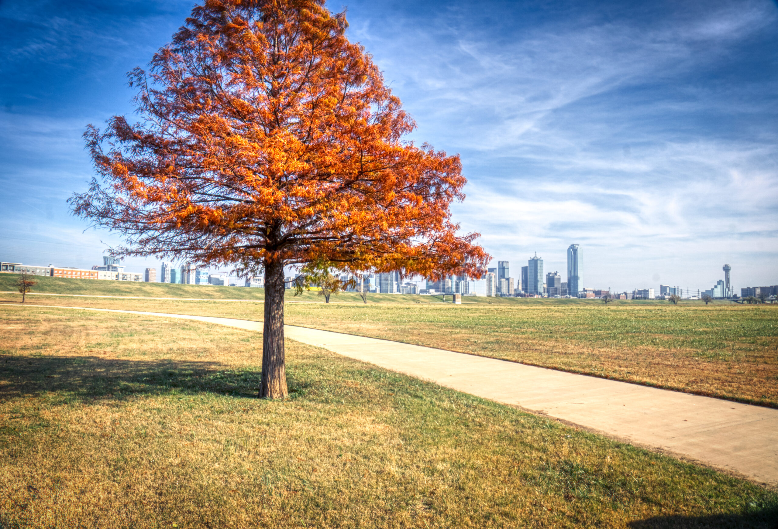 Dallas — fine art landscape photography by RDM Designs